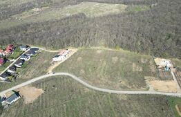 Teren 1200mp, langa padure, zona Bucium-Pietrarie