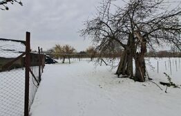 Casa plan parter, 7400 mp de teren, Goruni