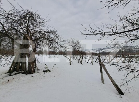 Casa de vânzare 5 camere Tomesti - 144251CV | BLITZ Iași | Poza3