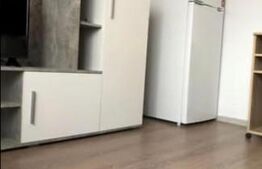 Apartament de 1 camera, 16 mp, zona Nicolina 