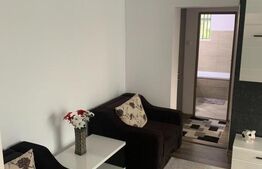 Apartament 2 camere, 55 mp, Podul de Piatra 