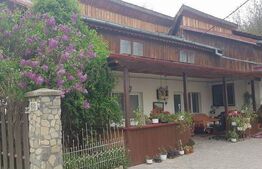 Casa individuala, 1575 mp, teren, zona Podul de Fier