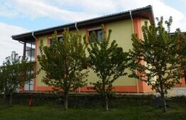 Casa individuala, 350 mp, teren 2000 mp, zona Visani