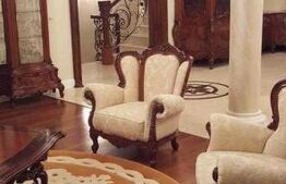 Vila cu 9 camere, 575 mp, zona Moara de Vant