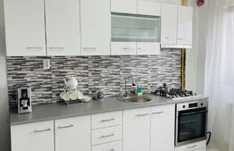 Apartament 2 camere, 45 mp, semidecomandat, Visan