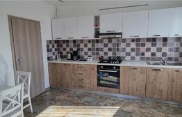 Duplex de 230 mp, teren 300 mp, terase, Manastirii Vladiceni