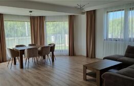 Duplex de 230 mp, teren 300 mp, terase, Manastirii Vladiceni