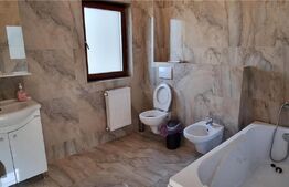 Duplex de 230 mp, teren 300 mp, terase, Manastirii Vladiceni