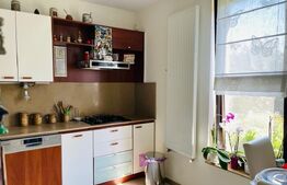 Casa de 5 camere, 310 mp, teren amenajat 1044 mp, Bucium