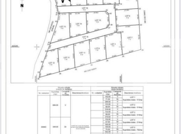 Casa de vânzare 4 camere Visani - 144901CV | BLITZ Iași | Poza5