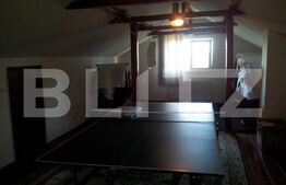 Casă 9 camere, 365mp, zona Tudor Vladimirescu