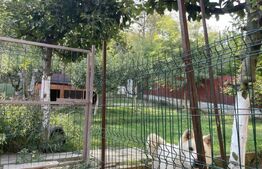 Penthouse cu 4 camere, 150 mp, teren 300 mp, terasa, Nicolina