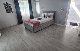 Casa 5 camere, 500 mp teren , zona Astoria Lunca Cetatuii 