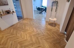 Casa 5 camere, 500 mp teren , zona Astoria Lunca Cetatuii 