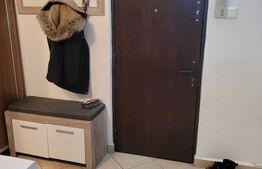 Apartament de 1 camere, 38 mp, zona Frumoasa