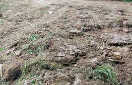 Teren intravilan , 480 mp , zona cartier Astoria Lunca Cetatuii