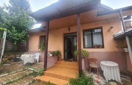 Casa individuala, 2 corpuri, 133 mp, zona Pacurari