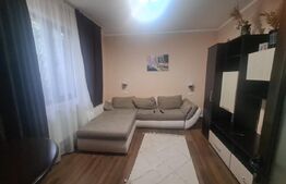 Casa individuala, 2 corpuri, 133 mp, zona Pacurari