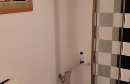 Casa de vanzare cu 4 camere, 120 mp, 1140 mp, Exterior Est