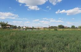 Teren Intravilan, Comuna Victoria, 2234 mp, langa padure, toate utilitatile