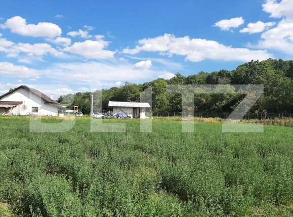 Teren de vânzare Nord - 146104TV | BLITZ Iași | Poza4