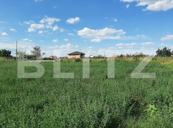 Teren de vânzare Nord - 146104TV | BLITZ Iași | Poza6