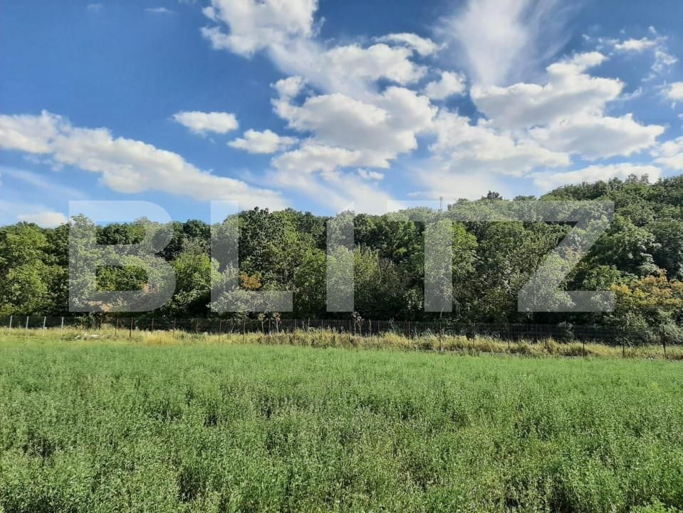 Teren de vânzare Nord - 146104TV | BLITZ Iași | Poza5