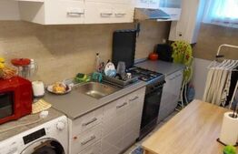 Apartament cu 2 camere, 40 mp, decomandat, demisol, Valea Adanca