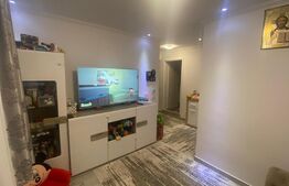 Apartament cu 2 camere, 40 mp, decomandat, demisol, Valea Adanca