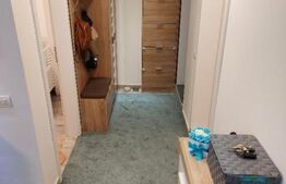 Apartament cu 2 camere, 40 mp, decomandat, demisol, Valea Adanca