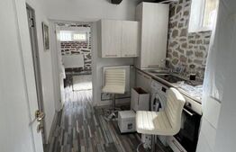 Apartament de 3 camere, zona Independentei, oportunitate investitie