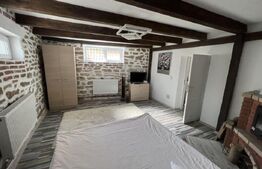 Apartament de 3 camere, zona Independentei, oportunitate investitie