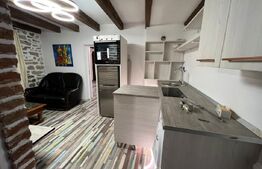 Apartament de 3 camere, zona Independentei, oportunitate investitie