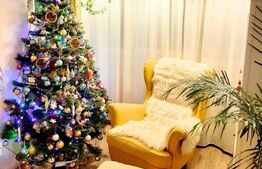 Apartament 2 camere, 56 mp, modern, Nicolina, zona Strugurilor