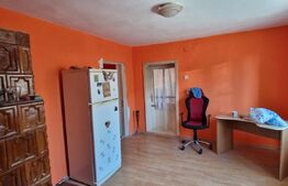 Casa batraneasca 100 mp, Miroslava, Centru