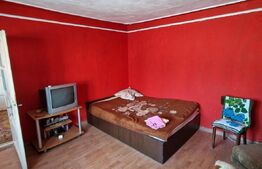 Casa batraneasca 100 mp, Miroslava, Centru