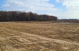 Teren extravilan 1790 mp, 210mp cota indiviza, Centura Iasi -Padurea Miroslava