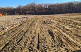 Teren extravilan 1790 mp, 210mp cota indiviza, Centura Iasi -Padurea Miroslava