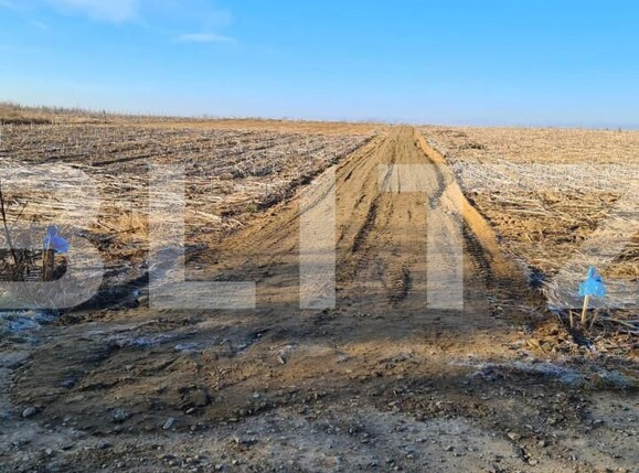 Teren de vânzare Miroslava - 146184TV | BLITZ Iași | Poza2