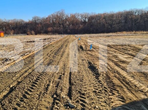 Teren de vânzare Miroslava - 146184TV | BLITZ Iași | Poza1