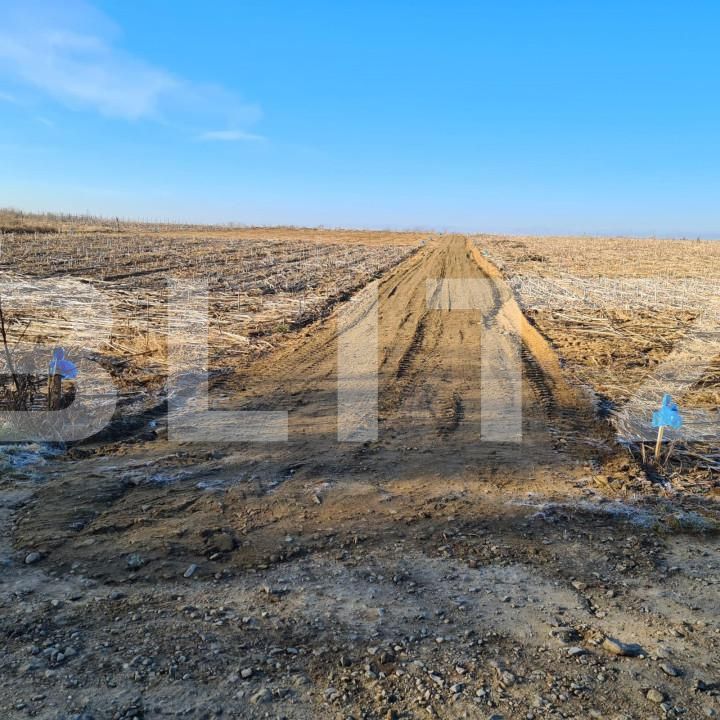 Teren de vânzare Miroslava - 146184TV | BLITZ Iași | Poza2