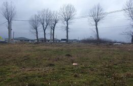 Teren intravilan Vorovesti 15000mp, D+P+1+2