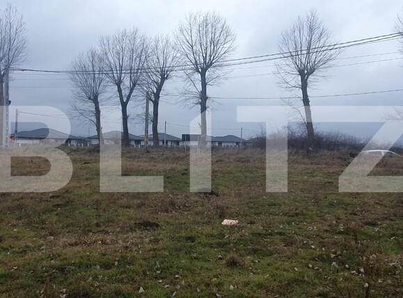 Teren de vânzare Miroslava - 146186TV | BLITZ Iași | Poza3