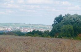 Teren extravilan 737 mp, 100 mp cota indiviza, Centura Iasi -Padurea Uricani