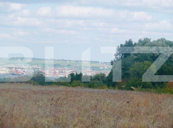 Teren de vânzare Miroslava - 146187TV | BLITZ Iași | Poza1