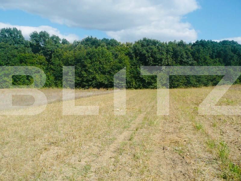 Teren de vânzare Miroslava - 146187TV | BLITZ Iași | Poza3