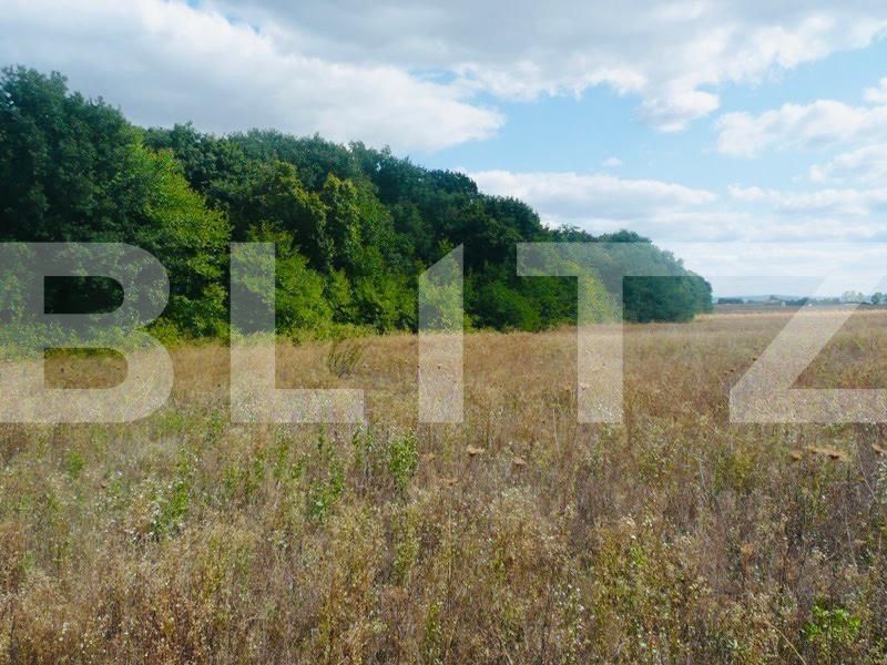 Teren de vânzare Miroslava - 146187TV | BLITZ Iași | Poza2