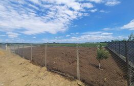 Teren intravilan 600 mp,panorama oras ,Tomesti