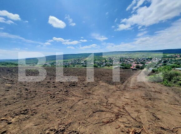 Teren de vânzare Tomesti - 146191TV | BLITZ Iași | Poza5