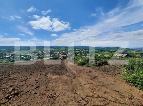 Teren de vânzare Tomesti - 146191TV | BLITZ Iași | Poza4